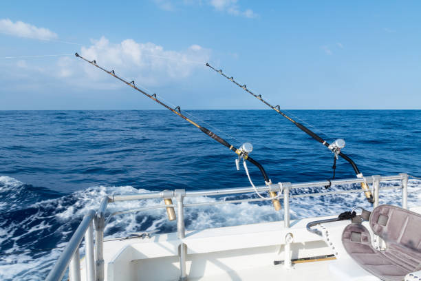 Deep Sea Fishing Orange Beach Alabama